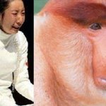 ★★★사진有)대만이 페북에서 한국비하★★★