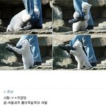 우리의 <b>시점</b>/곰의<b>시점</b>