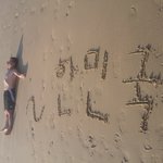 죄송하다고 하고싶음
