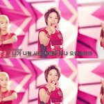 <b>이번</b> 엞아라 <b>사건</b>..