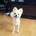 세종<b>대왕</b>님 보세요