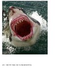 야생동물 <b>제압</b>법.jpg