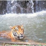 클라우드 서비스, <b>문서</b>와 사진을 자동으로 저장해주는 닥스트림!!