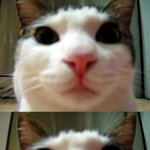 고선생님과 그냥하는 <b>토크</b>..