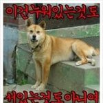 19)))) <b>수위</b>★★★★★★★