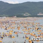 새로나온 오줌맛 <b>시리얼</b>