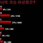남자들이 원하는가슴 투표결과.jpg