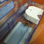 제가 집에서 거미 한마리 잡앗는데요 어떤 거미인지좀 알려주세요~...