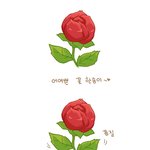 ●●●빨간<b>장미꽃</b>의 비밀●●●