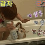 아싸 <b>배너</b>뽑았다.