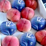 ●●●<b>시아</b>준수 뽕동이는 복숭아로만듬●●●