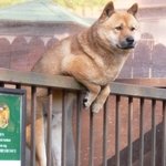 나도갔다왔다!!여수엑스포!(사람사람,,줄줄줄,,ㄷㄷ)