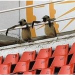 멕시코와 경기<b>패배</b>후 관중석을 떠나지 못하는...