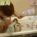 14남 <b>챗방</b>에서 털리고 짜짐?