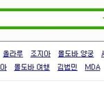 한국남자들의 외국<b>검색</b>