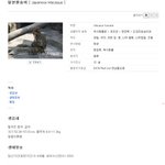 일본이_성<b>진국</b>인_이유.jpg