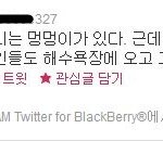<b>두발</b>로 걸어다니는 멍멍이.jpg