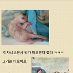 사막여우 <b>꼬물</b>이 2탄 (엄청짧습니다)