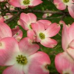 ■사이 좋아지는법, 권태기극복법, 사랑받는법■