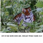 길지만<b>빵</b>터지는미친댓글136ㅋㅋㅋㅋㅋㅋㅋㅋㅋㅋㅋㅋㅋㅋㅋㅋㅋ
