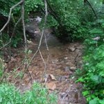 ★☆★☆★사진 有) 강원도 여고생들의 여름방학★☆★☆★