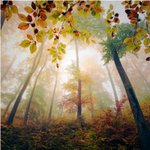 <b>동요</b>들의 숨겨진 괴담**