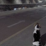 2탄+수정) 아이라인이 매력적인 <b>도시</b>개 야롱이