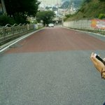 ★★★★★★★<b>개미들</b>의 일상생활★★★★★★★