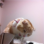 <b>면봉</b>이 필요하다고?