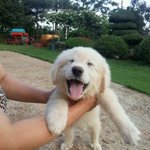 ♡<b>대두</b>,산만이,찌질이성장일기♡9탄!!!