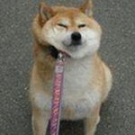 <b>성규</b>오빠2세?