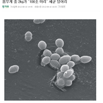 2키로 <b>감량</b>하기.