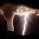 기겁할만한 원숭이를 죽인사연**