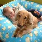 아기를 돌봐주는 귀여운 <b>동물</b>들