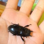 나는 팬션알바즁임다8