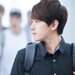 말랑말랑해 보이는 백<b>멍뭉이</b> ㅠㅠㅠㅠ