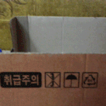 2탄 (사진有) 내애묘소 이런 고양이 만나봤어?