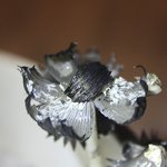 (혐오)화장실<b>버섯</b>..有