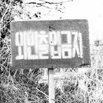 인생아 너는 언제 나한테 술<b>한잔</b> 사줄래??