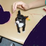 우리집에온 새끼길냥이