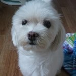 우리집애기로또 애기낳다! (사진有) +수정