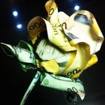 지드래곤 화폐꽃 지폐공예vs훼손