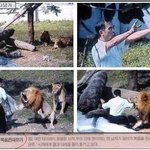 19)오빠들 내 거기 이상해ㅜ? 사진)有