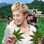 불법농작물<b>체취</b>하는아이돌