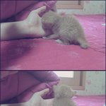 너무너무보고싶은우리애기보낸지<b>두달</b>이다되가네