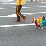 이거 <b>착시</b>라고 봐야돼나....ㅋㅋㅋ