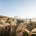  1박 2일 동안 정선여행 하기 !