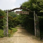 꽃무지풀<b>무지</b> 수목원.