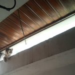 길냥이에서 귀한 집냥이로 변한 우리 <b>야옹</b>이좀 구경하실래요??^^