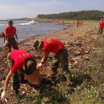 귀신잡아? <b>민심</b>도 잡아!